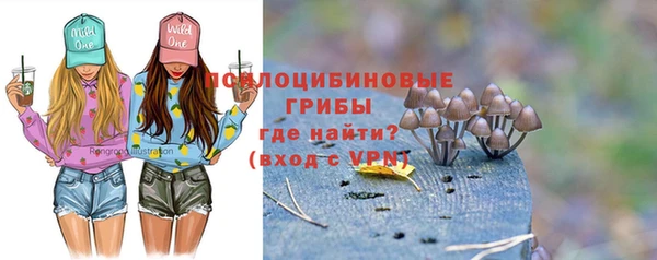 крисы Дмитровск