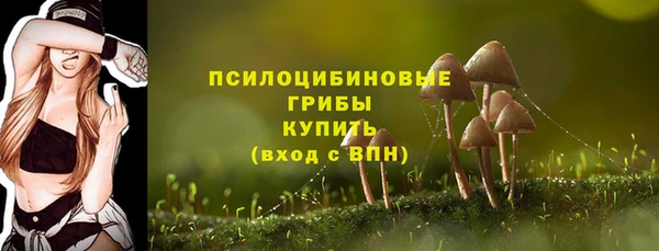 крисы Дмитровск