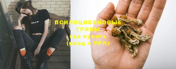 крисы Дмитровск