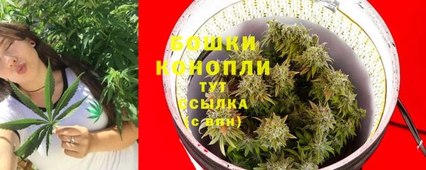 прущая мука Дмитров