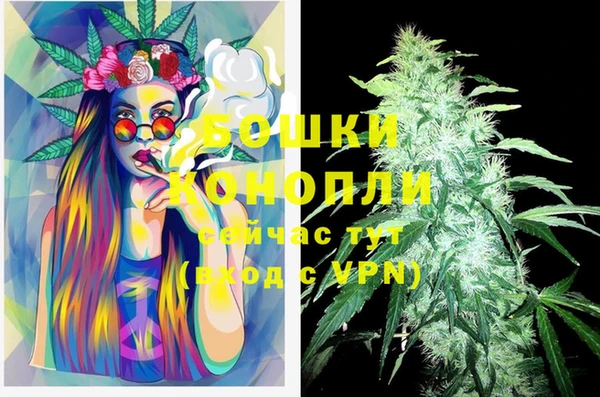 крисы Дмитровск