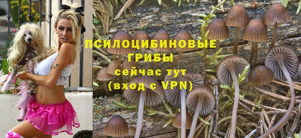 мефедрон Дмитриев