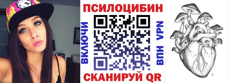 Псилоцибиновые грибы Psilocybe  площадка состав  Новотитаровская 
